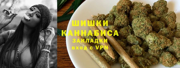 молекула духа Верхний Тагил