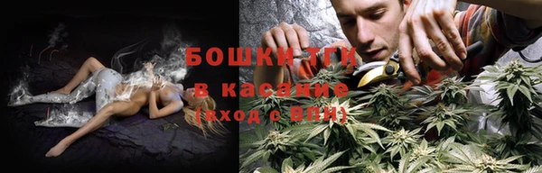 молекула духа Верхний Тагил