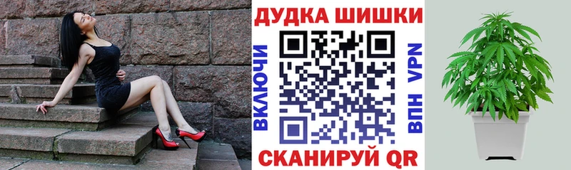 Бошки Шишки гибрид  Купить закладки  Старая Русса 